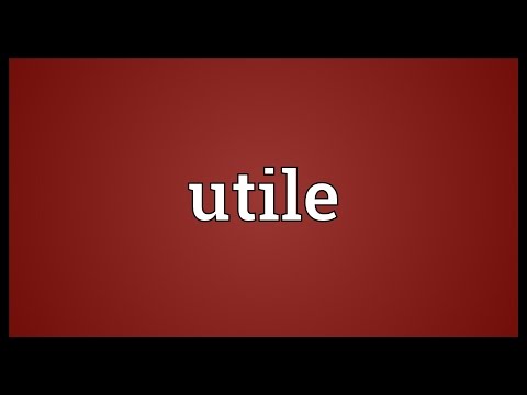 Utile Meaning