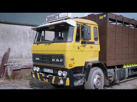 Thumbnail for DAF: What is the oldest DAF truck still in operation? by Vehicle