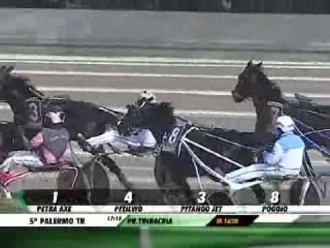 Premio Trinacria 2013 -Paper Caf