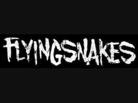 Flyingsnakes - Oven