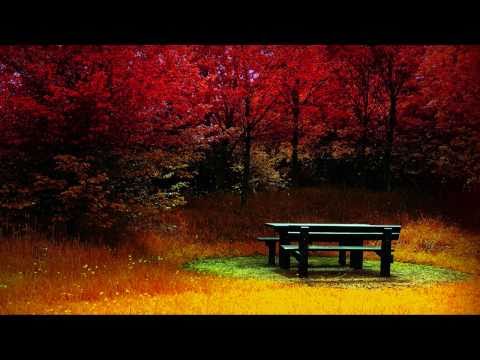 George Winston Autumn ~ Woods (ΗD)
