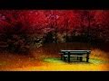 George Winston Autumn ~ Woods (ΗD)