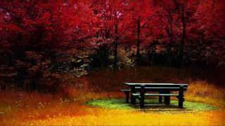Video thumbnail of "George Winston Autumn ~ Woods (ΗD)"