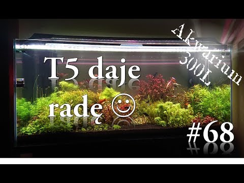 Watch Video on YouTube