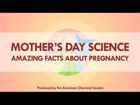 妊娠についての4つの驚くべき科学的事実 - 反応 (4 Amazing Science Facts about Pregnancy - Reactions)