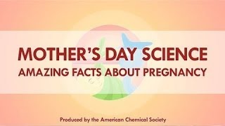 4 Amazing Science Facts about Pregnancy