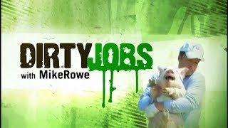 Dirty Jobs | Episode 1, Bat Cave Scavenger video