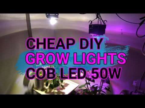Cheap DIY Grow Light COB LED 50 watts Full Spectrum