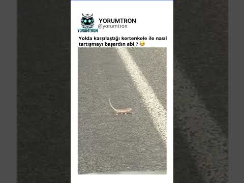 Yolda karşılaştığı kertenkele ile nasıl tartışmayı başardın abi ? 😂