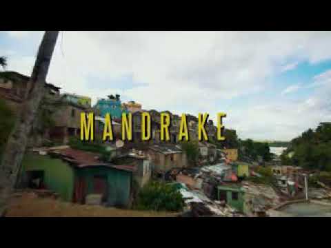 Mandrake tiradera para fhoter