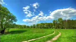 [AS BUMP] Bibio - Raincoat