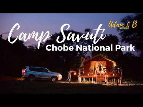 Checking in at Camp Savuti | Chobe National Park, Botswana | SafariLife S1Ep35