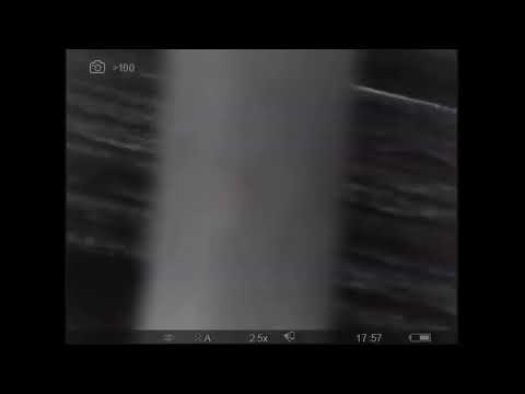 Mateusz Jaworski – transmisja na żywo