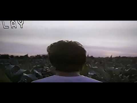 MANDELA EFFECT - "If you build it THEY will come"