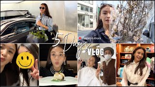 【ここ最近の5日間】家族と仕事と日常VLOG。ヘアカットや、自宅の庭づくりなど