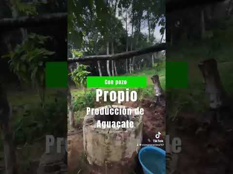 Terreno Parcela en Sacatepequez