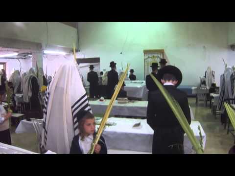 Hallel with Lulav Sukkot 5774 with the Tolna Rebbe in new Shul in Jerusalem