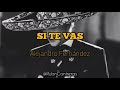 Alejandro Fernández - Si Te Vas (Letra)