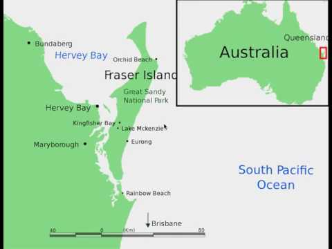 Earthcast SOS - End Dingo Ecocide Now