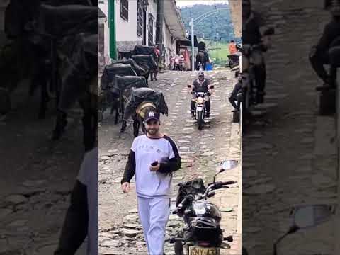 don Toño Osorio uno de los últimos arrieros en el municipio de Angostura Antioquia #arrieros #campo