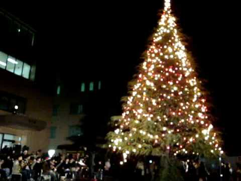 聖学院大学クリスマスツリー点火祭（2008.11.26）