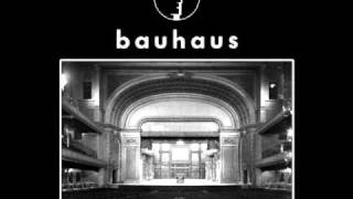 Bauhaus - Hair of the Dog [Alternate Album Mix] [HQ 320 kbps]