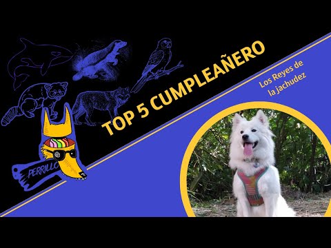 Top 5 Birthday Boys: The Real Goats | Episode 119 | Fanged Culture
