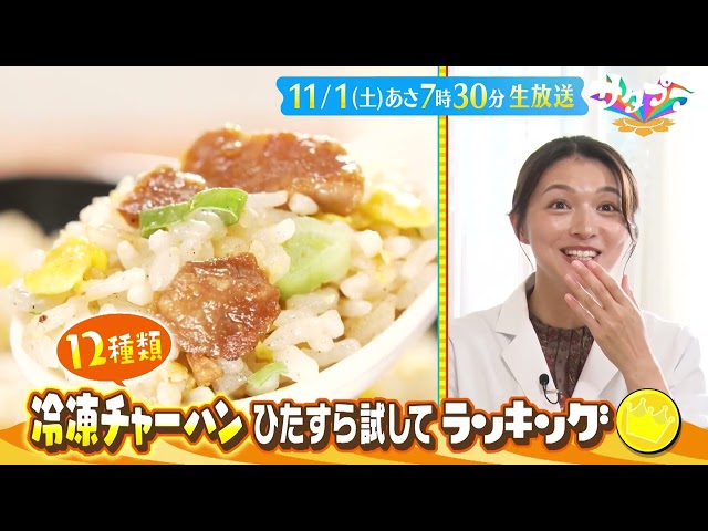 サタプラ【試して！冷凍チャーハン★絶対失敗しない「東京駅」最強グルメ連発！】🈑