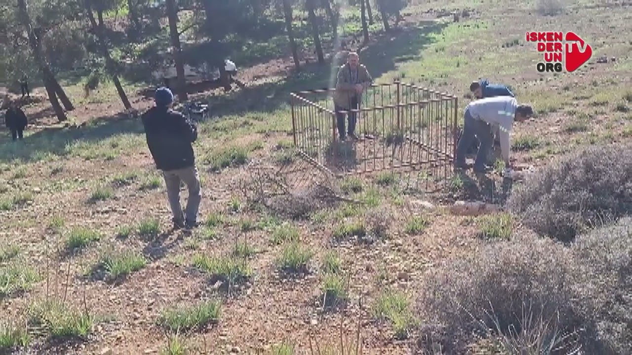 Hatay’da İlk Kez Bu Netlikte Görüntülendi