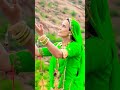 Marwadi Status 2024 Marwadi Song Rajasthani Status Marwadistatus Youtubeshorts Shorts Short