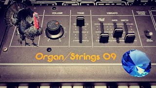 Video thumbnail for The Roland RS-09 - Forgettable Turkey or Forgotten Gem? by Alex Ball