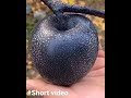 Black Diamond Apple🍎