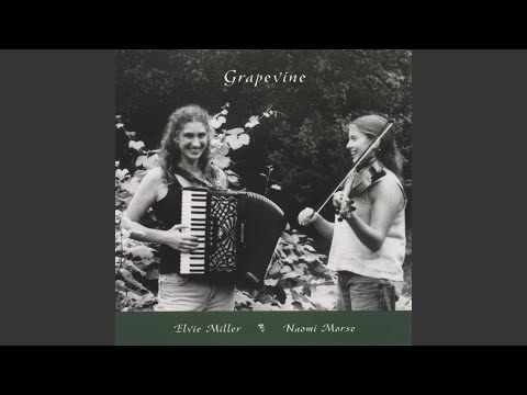 The Roaring Barmaid/Sean Ryan's/Paddy Ryan's Dream/Torrid Romanc