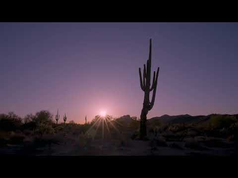 Desert Moon Sky