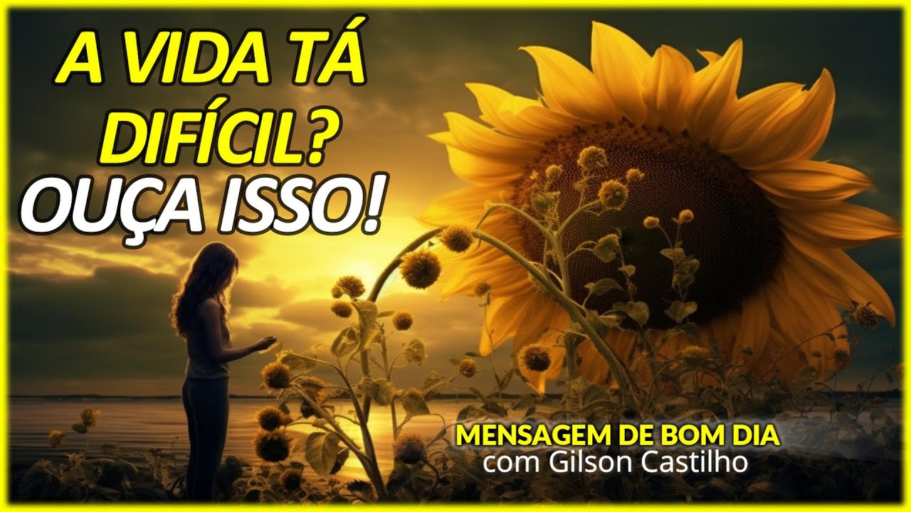 Porque a vida é tão difícil? Bom dia - Mensagem de Reflexão