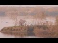 Ducks And Geese Hunting In Romania