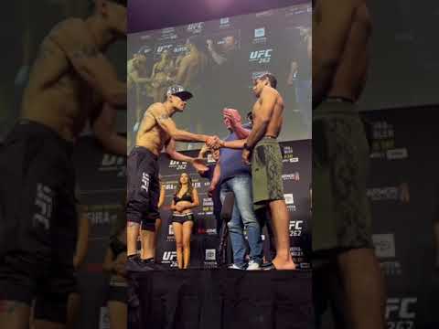 ufs | MMA - fights without rules mma