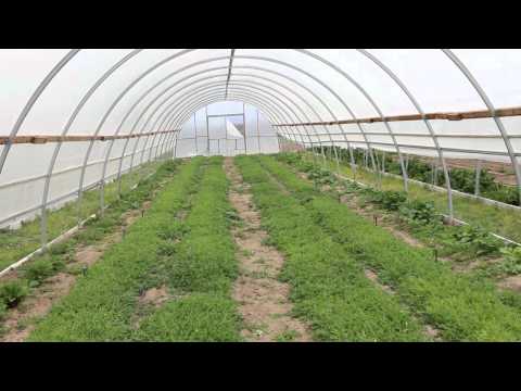 Preserve The Water in Lincoln County with Micro Farms