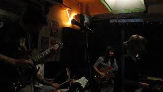 school damage - tall poppies