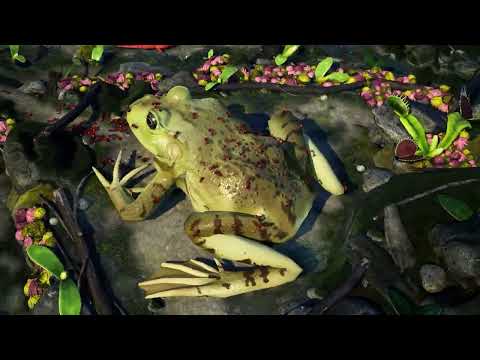 Fire Ant Trailer - Empires of the Undergrowth Early Access