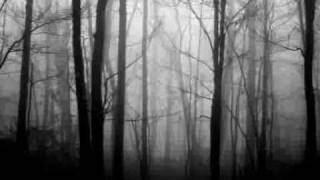 Tenhi - Havuisissa Saleissa