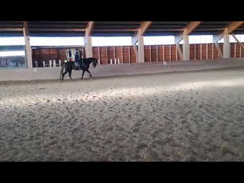 Jerry Jeah Carrus 18112018