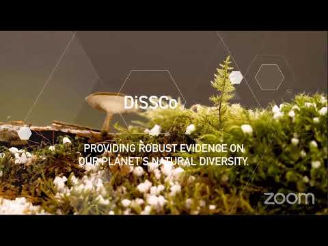 CETAF-DiSSCo COVID-19 TaF Public event