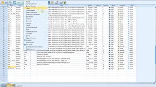 SPSS Tutorial: Recode into Different Variables