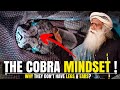 The Secret To Success Adopting The Cobra Mindset Fearless And Focused Like A Snake SADHGURU