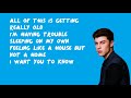 Crazy - Shawn Mendes (Lyrics)