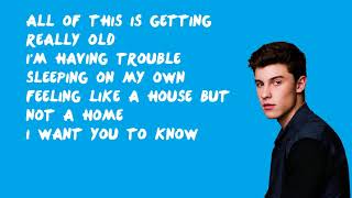 Crazy - Shawn Mendes (Lyrics)