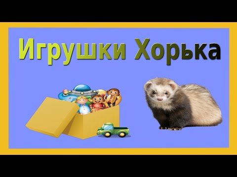 Игрушки для хорька!С чем играет хорек!?