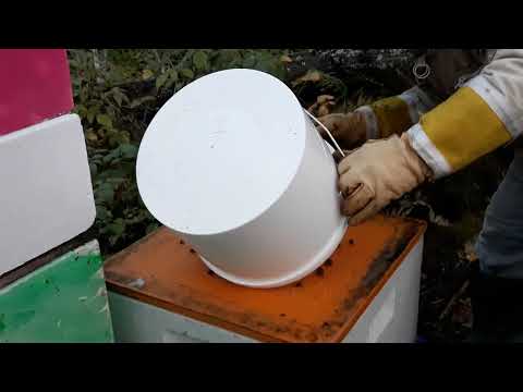 Ekte honning .  Jeg sjekker bifor. Lørenskog bigård .09.2022 . Norsk .