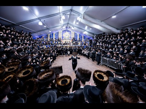 Wedding in Courts of Krula, Melitz, Zichron Naftula and Ratzfert